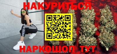 спиды Краснодар
