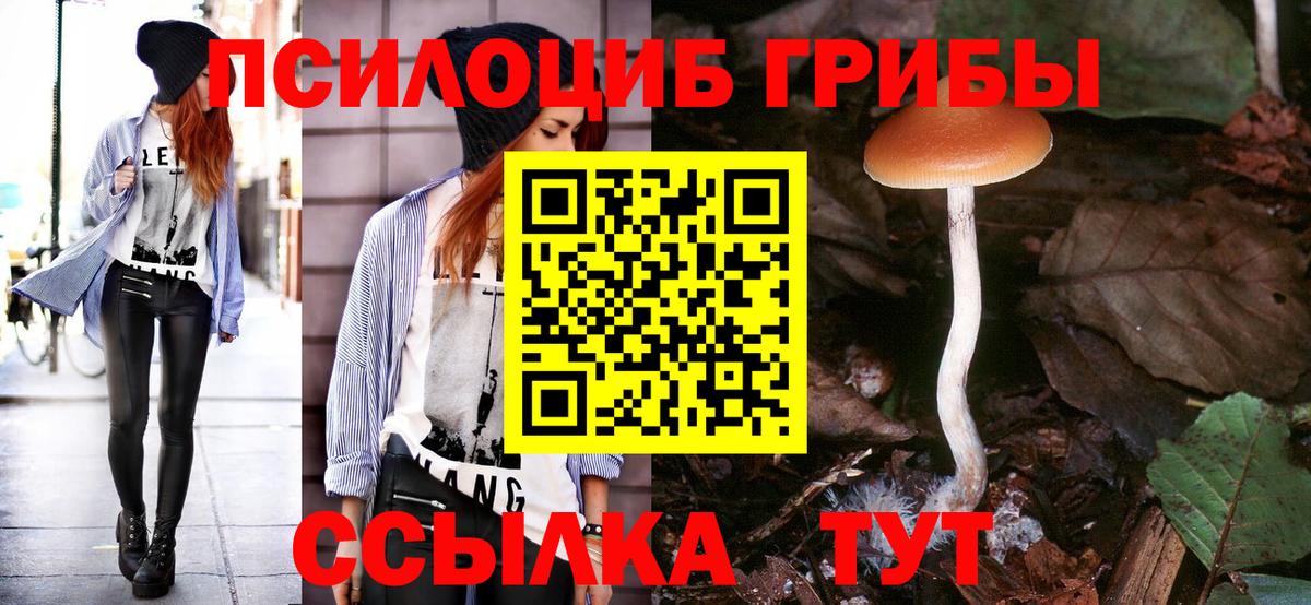 Псилоцибиновые грибы мухоморы  Вход с VPN  Псилоцибиновые грибы Cubensis  Заволжье 
