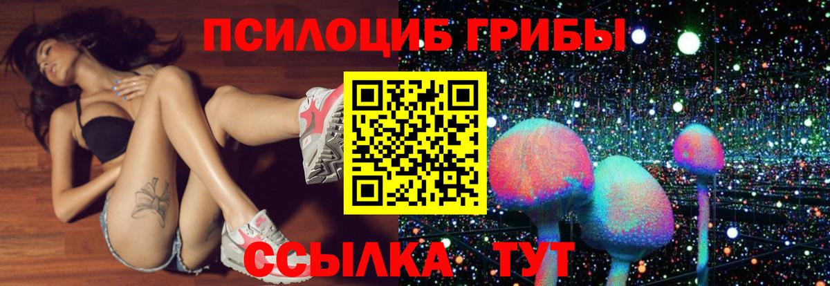 Псилоцибиновые грибы Magic Shrooms Заволжье